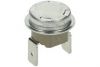 12001034 CONTACT THERMOSTAT 175°C (контактный термостат)