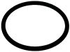 17000006A GASKET O-RING 3131 (прокладка миксера FAS) 17000006A GASKET O-RING 3131 (прокладка миксера FAS)