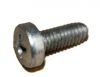 255032 TREFOIL SCREW M4X10 (винт)