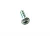 255034 / 987612  PLAIN TIP SELF-TAPPING SCREW 4X12 (винт крепления фланца миксера NECTA)