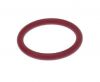 GUA0000083 GASKET 123 (прокладка шнека порошков XX-OS, XS)